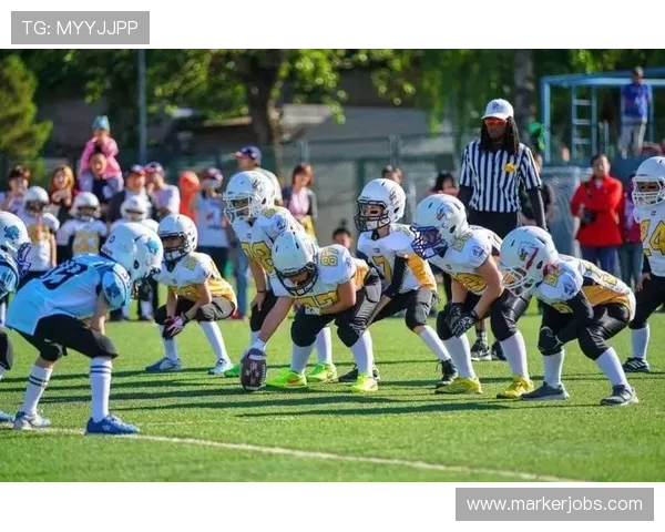 白金体育注册会员登录带来的体育赛事精彩体验