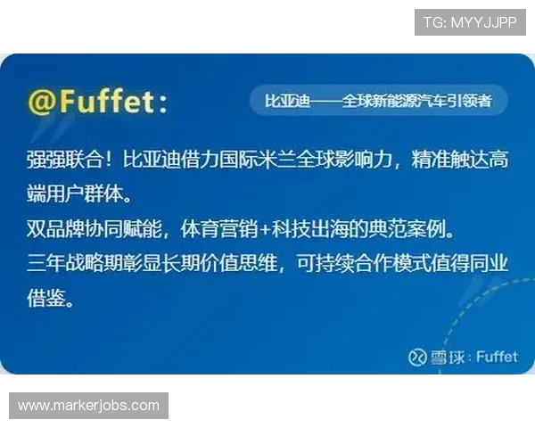 米兰平台对国际品牌战略的影响及案例研究