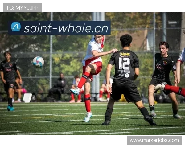 乐鱼体育在线网址便捷登录方式，轻松进入体育直播平台享受精彩赛事